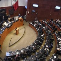 Partidos deben postular en Cámara de Diputados y Senado a personas de grupos sociales discriminados