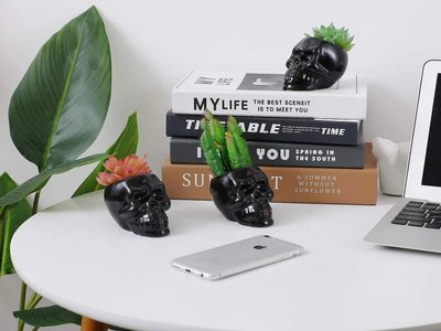 Conocé por qué los cactus son inmunes a la tecnología