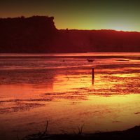 Cayeron al río Negro: las imágenes de un milagroso rescate en Cipolletti