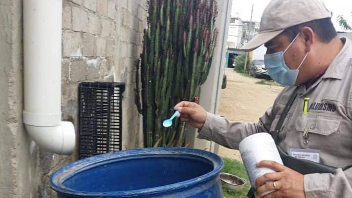 Trabajos contra el dengue en Oaxaca