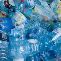 No tires las botellas de plástico y mirá cómo podés hacer una lámpara colgante que todos van a envidiar