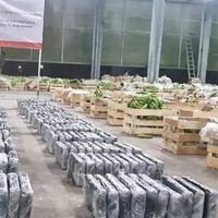 Ejército aseguró 274 kilos de cocaína ocultos en cajas de plátano procedentes de Chiapas