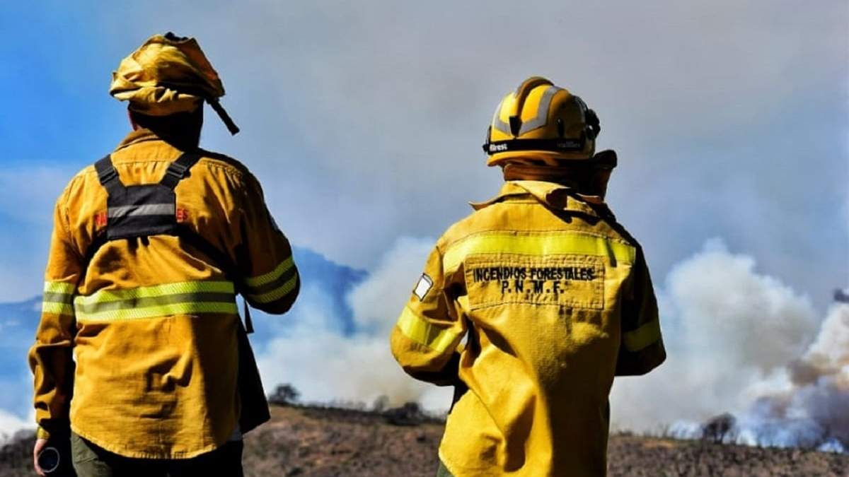 Brigadistas en incendios forestales. Fuente: (Parque Nacional Los Alerces)