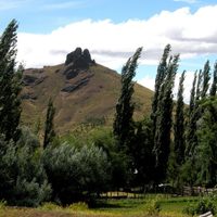 De qué se trata: otro nuevo hallazgo clave sorprendió a Neuquén
