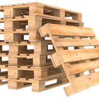 Si encontrás un pallet viejo en la calle, guardalo: mirá cómo convertirlo en lo más lindo para tener en tu jardín