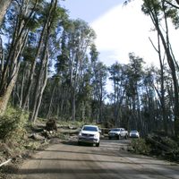 Tras el reclamo de los vecinos en Villa Traful, los trabajos en la ruta 65 tienen cronograma