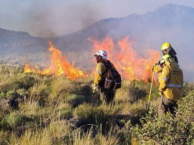 Habrá multas de hasta 1.700 millones de pesos para quienes realicen quemas en lugares prohibidos