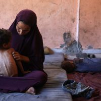 Cinco muertos en Gaza al ir a buscar comida