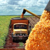 El Gobierno simplificó el traslado de granos con menos trámites
