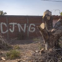 El Cártel de Sinaloa y el CJNG lavan 25 mil mdd al año con Bitcoin; así lo hacen