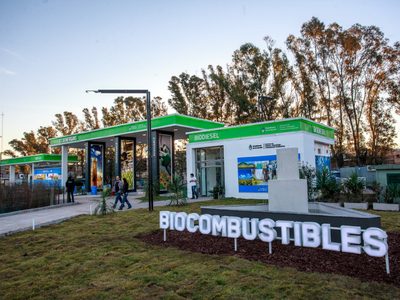 El IAE Mosconi advirtió por la "grave" situación de los biocombustibles