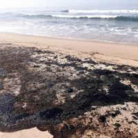 Derrame en la Refinería de Salina Cruz contamina las playas de Oaxaca