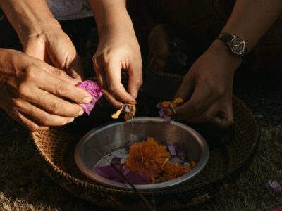 La planta que tenés en la cocina y con la que podés hacer un poderoso ritual para atraer buenas vibras