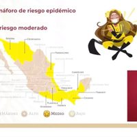 Ssa ubica a diez estados en semáforo amarillo y sólo a uno en rojo
