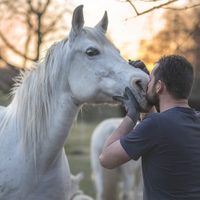 Los signos del Zodiaco que aman a los animales más que a las personas, según el horóscopo