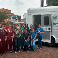 Perros, gatos, aves y hasta burros son atendidos por la UNAM en brigadas aún activas