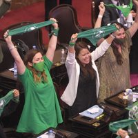 Histórico: Diputados aprobó el proyecto de Interrupción Voluntaria del Embarazo