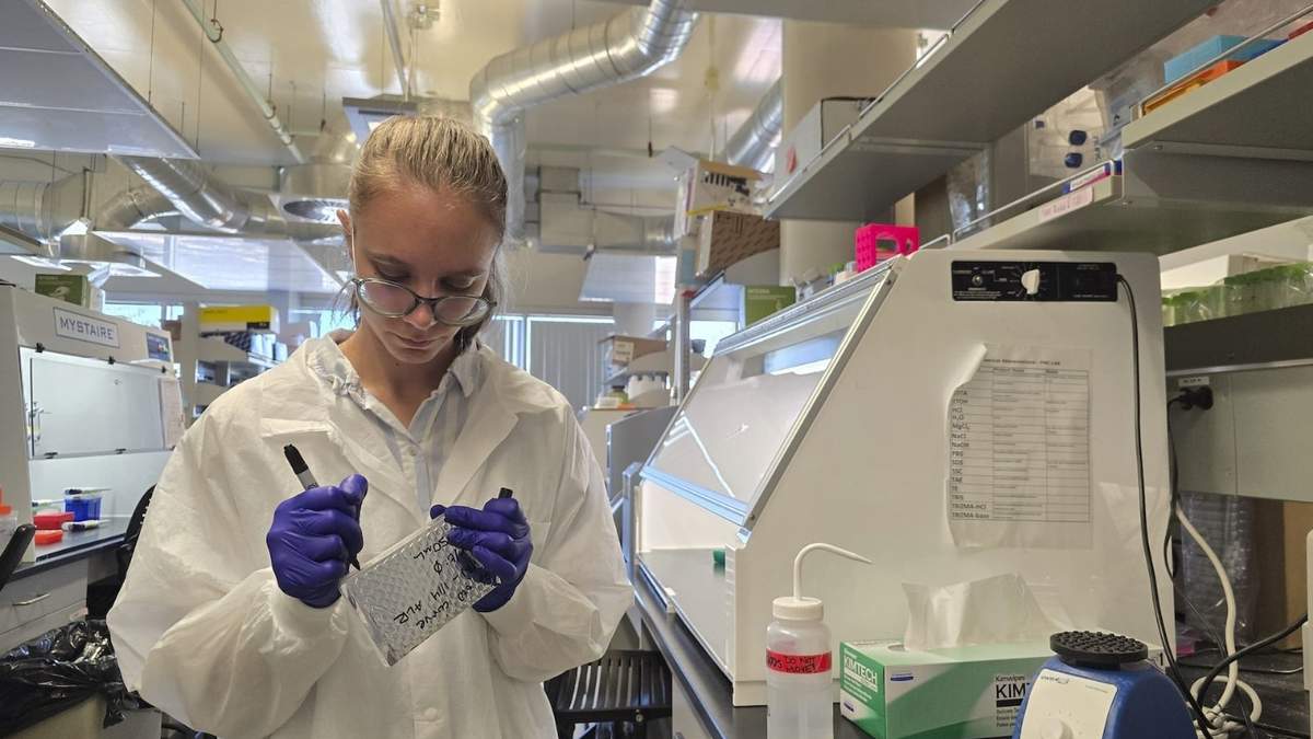 Anna Riley, estudiante de microbiología, etiqueta ampolletas en un laboratorio de la Universidad del Norte de Arizona