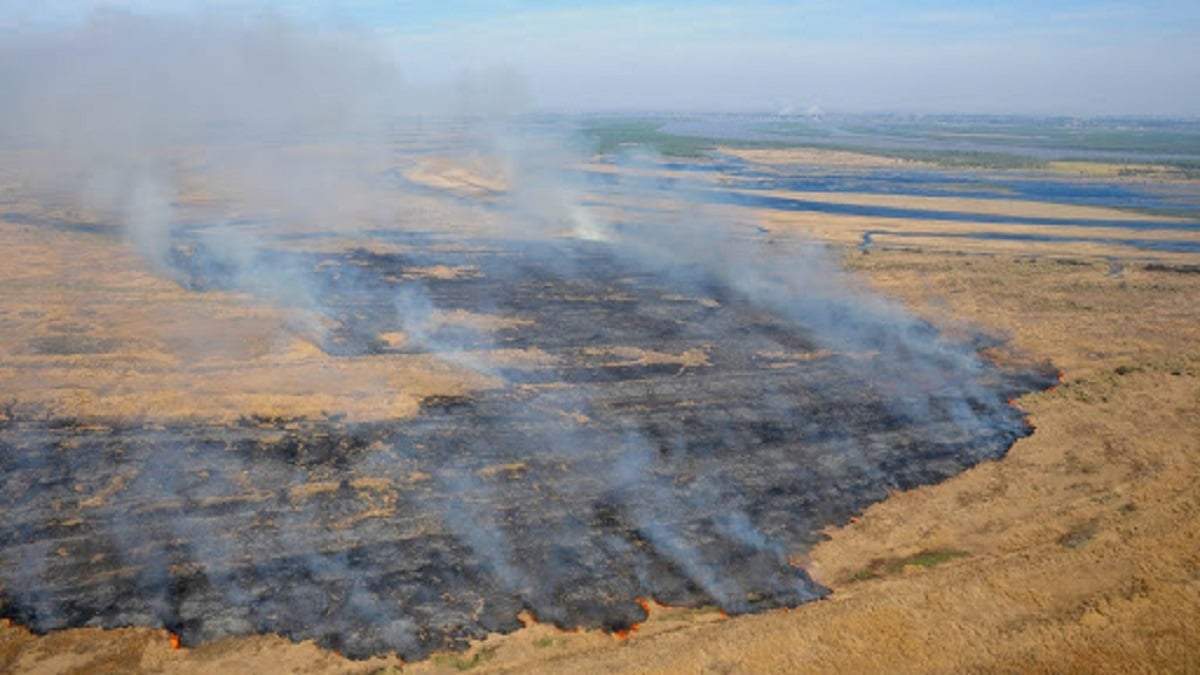Incendio en el delta del Paraná. Foto: (Twitter)