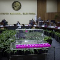 El INE será presidido por una mujer, ordena el TEPJF