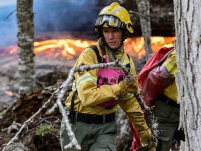 Fuego Activo en el Parque Nacional Nahuel Huapi: más de 2.000 hectáreas afectadas y nuevas operaciones de Defensa en Los Manzanos