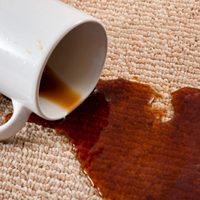 Más fácil de lo creías: eliminá las manchas de café de los sillones sin refregar y en el primer intento