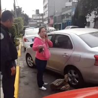 Mujer se viraliza por reclamar a automovilista que se estacionó frente a su casa (Video)