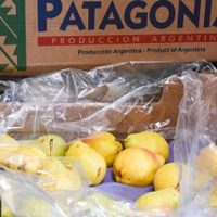 Alumnos de escuelas públicas de Neuquén seguirán recibiendo refrigerios saludables