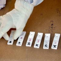 Nuevo récord de contagios diarios de covid-19 en México: 12 mil 253