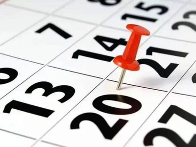 Feriado del 8 de diciembre: cómo funcionan los servicios públicos este viernes