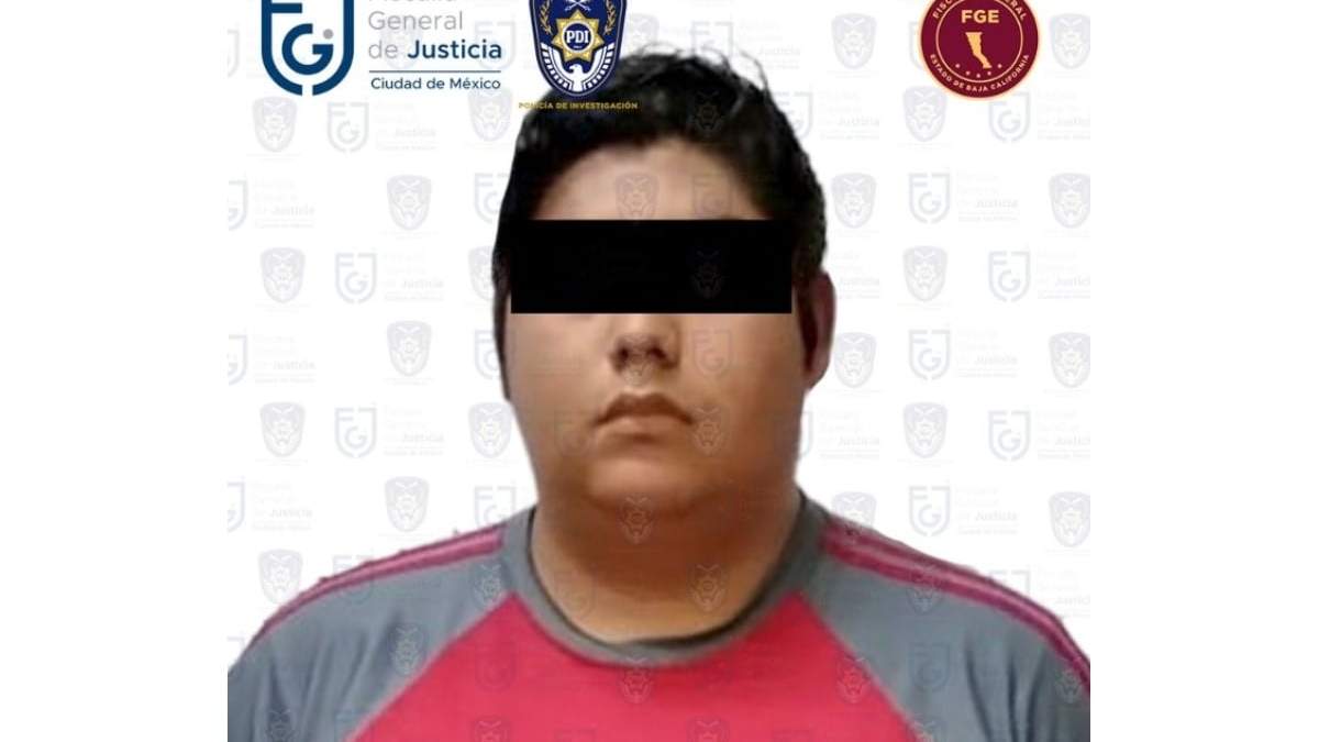 Luis "N", el detenido