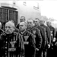 Doble Holocausto para los homosexuales
