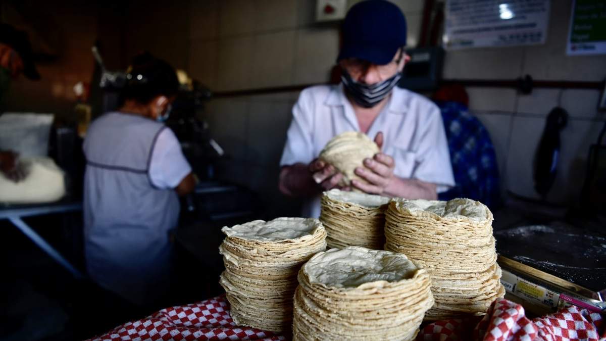 El gobierno mexicano busca restringir el uso de maíz transgénico en la producción de la tortilla.