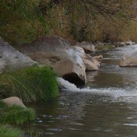 Grave denuncia ambiental en Loncopué: arrojaron líquidos cloacales sin tratamiento al río Agrio