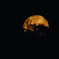 La luna llena de marzo maravilló el cielo de Neuquén