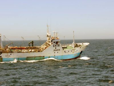 Cerca del Golfo San Jorge: detectaron un pesquero español en el mar argentino