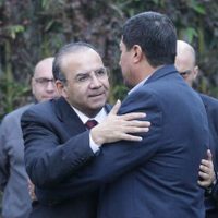 Navarrete Prida, abierto a buscar garantías para extradición de Duarte y liberar recursos: Corral