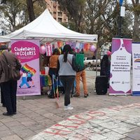 Pintarán la vereda del paseo de la Diversidad con la bandera del orgullo gay