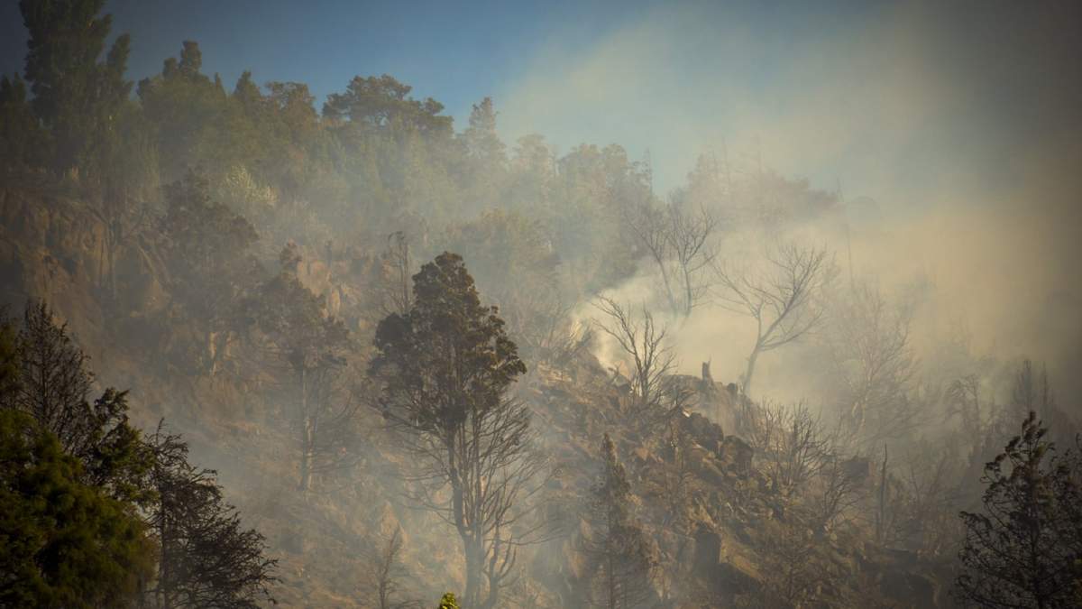 Un incendio forestal en las cercanías de San Martín de los Andes. Fuente: (Twitter)