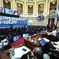 El Senado recibió el proyecto de Interrupción Voluntaria del Embarazo: cuándo se debatiría