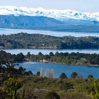 Moquehue recibió importante donación de alimentos
