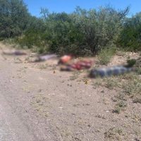 Abandonan a seis encobijados en los límites de San Luis Potosí y Zacatecas
