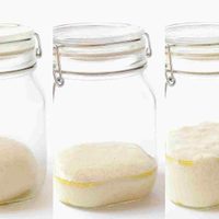 No gastes más: hacé tu propia levadura casera con un ingrediente que tenés en tu cocina