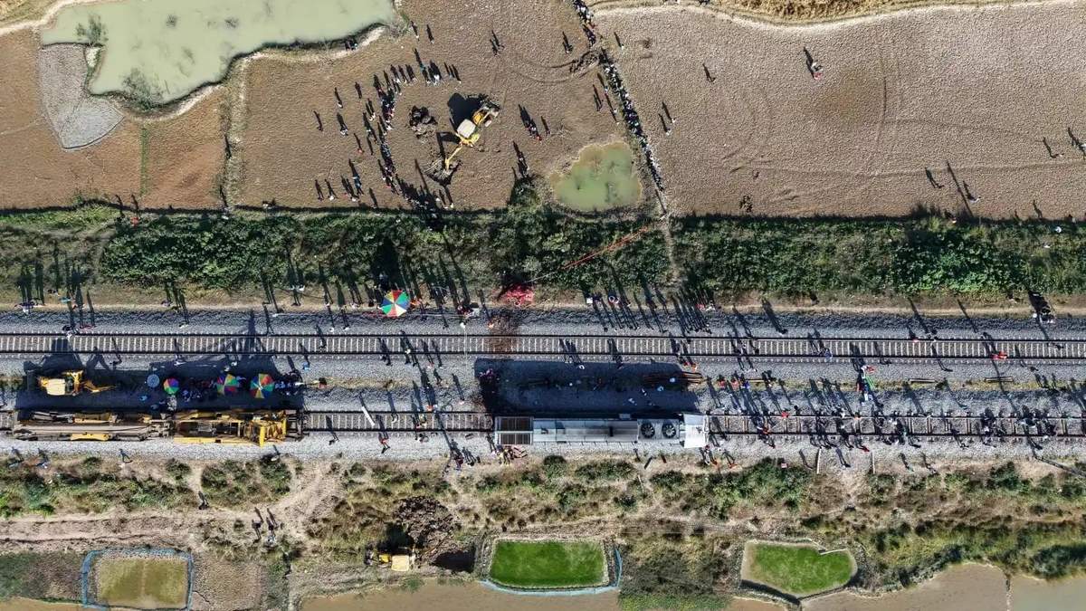 Tren de pasajeros mata a siete elefantes que intentaban cruzar las vías en la India