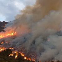 El dueño de un campo de Caviahue sería responsable del incendio forestal