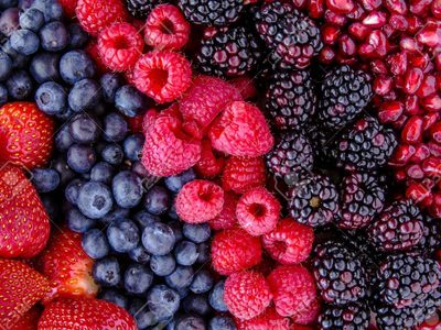 Fruta fina: variedades deliciosas en toda la Patagonia