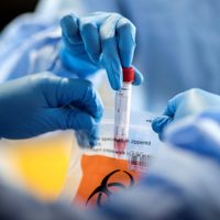 El coronavirus está presente en todo Cipolletti