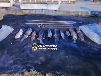 Secuestraron truchas a pescadores furtivos en el Nahuel Huapi