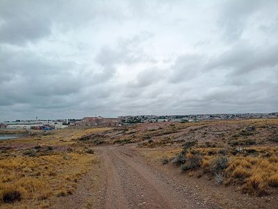 Fauna marina por doquier: te contamos qué hacer en Puerto Deseado