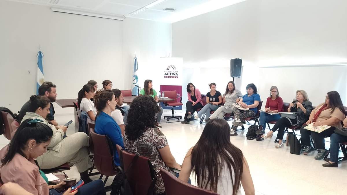Foro en defensa de la Ley 2302 de protección a los menores. Fuente:(Twitter)